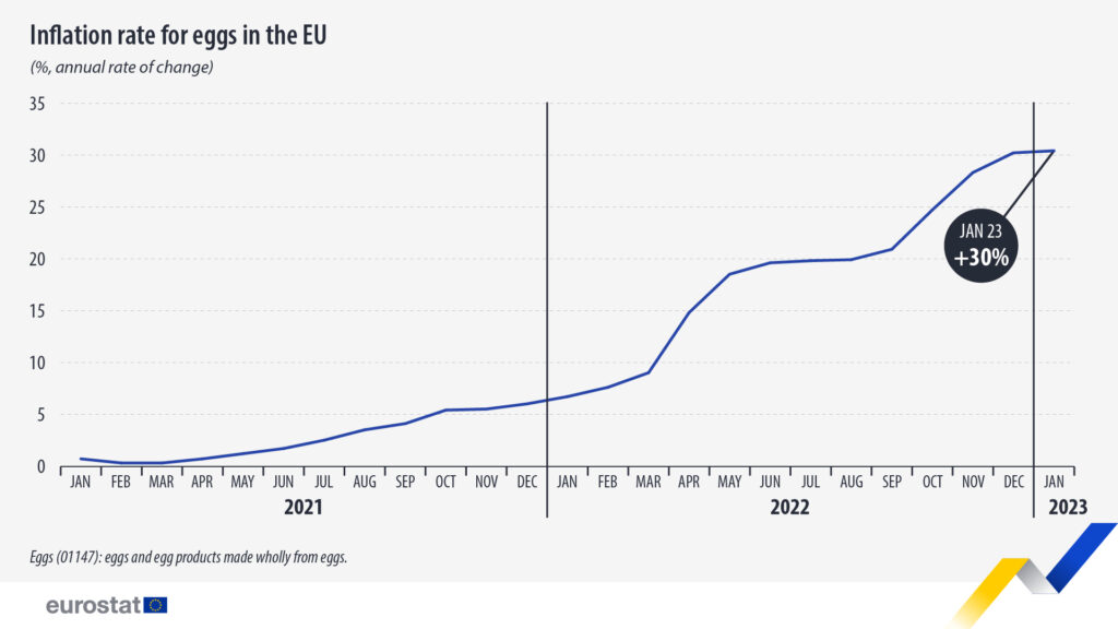 Egg prices Jan 2023 V1