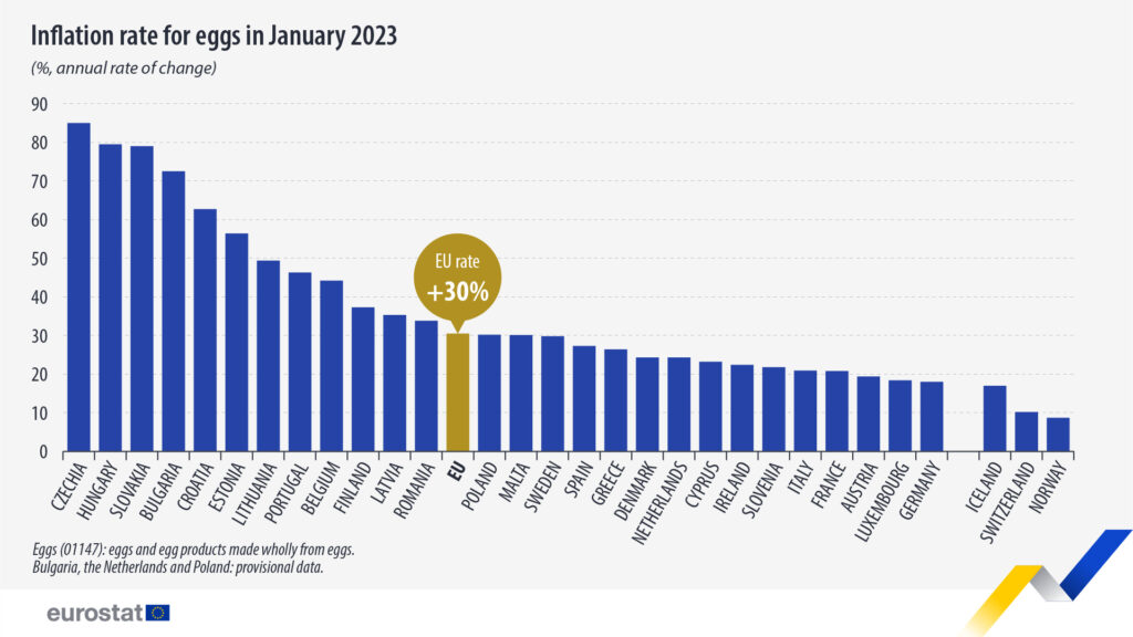 Egg prices Jan 2023 V2 1